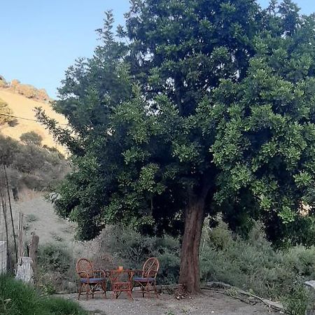 Karampinis Konuk evi Kaloi Liménes Dış mekan fotoğraf