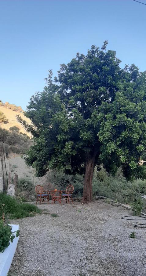Karampinis Konuk evi Kaloi Liménes Dış mekan fotoğraf